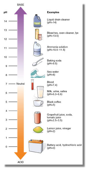 Data protection scale