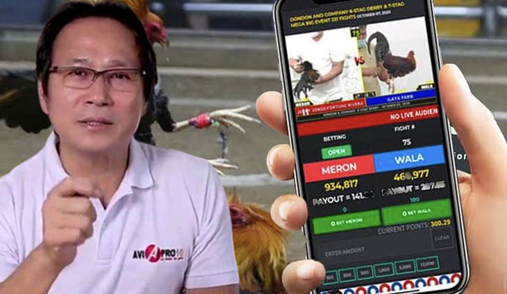 PH78 Sabong Live Cockfighting